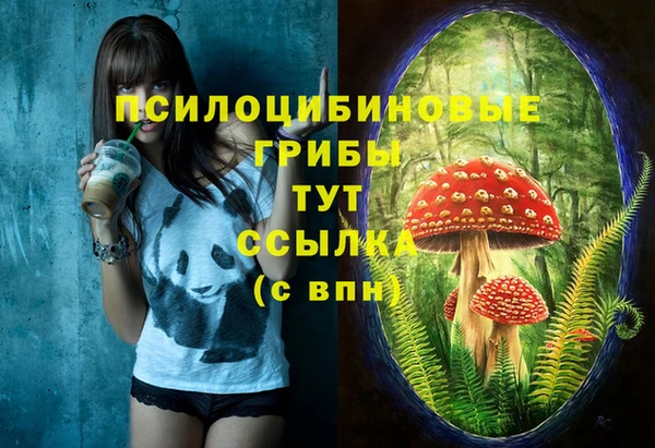 гашик Михайловка