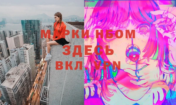 СК Надым